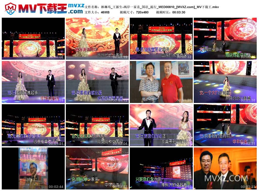 林琳玮_王新生-两岸一家亲_国语_流行_MED00810